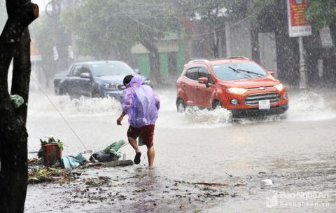 canh tuong tan hoang tai cac tinh co bao so 10 do bo - 13