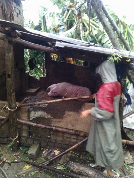 canh tuong tan hoang tai cac tinh co bao so 10 do bo - 9