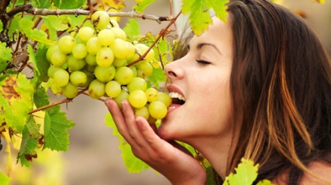 4 loại trái cây mùa thu tươi ngon, rất tốt cho sức khỏe - 2