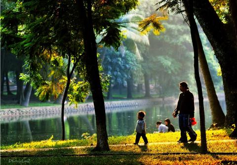 du bao thoi tiet hom nay (29.9): ha noi nhieu may, co mua rao va dong vai noi hinh anh 1