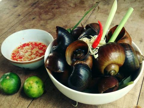 thuc-pham-nhiem-doc-chi-1