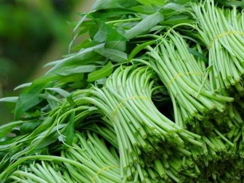 thuc-pham-nhiem-doc-chi