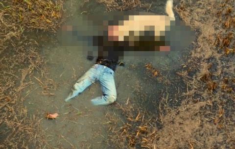 Phát hiện “cẩu tặc” chết bất thường cạnh 4 con chó - 1