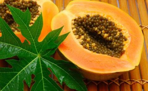 phat hien bat ngo ve tac dung cua du du it duoc noi den - 1