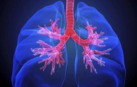 6 dau hieu khac la cua mong tay tuong don gian nhung cuc nguy hiem - 5