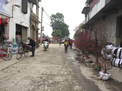 Dân làng Quan Độ phủ bạt lên nóc nhà đón Tết sau vụ nổ rung chuyển Bắc Ninh - 1
