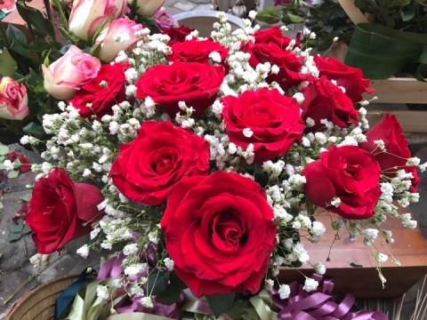 Mỗi bông hoa hồng nhập lên tới 100.000 đồng/ bông 