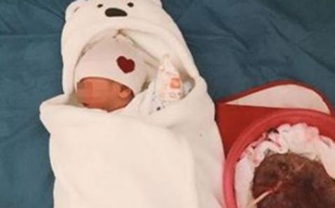 Chủ tịch phường Thảo Điền: Không hộ nào trên địa bàn có 2 mẹ con tử vong vì sinh thuận tự nhiên