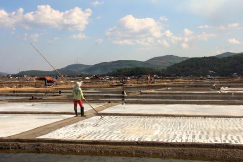 Top 10 địa danh ở Quảng Ngãi khiến du khách đến là không muốn về - 6