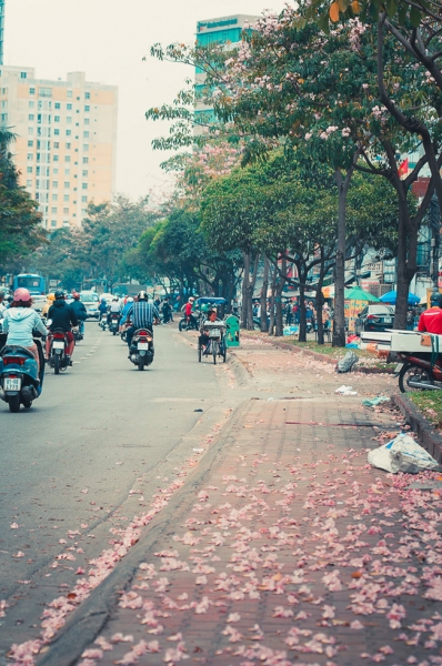 Không ngờ giữa Sài Gòn lại có những con đường hoa đẹp đến thế này! - 10