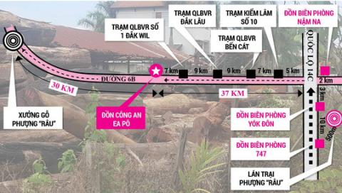 Vẽ lại cung đường gỗ lậu Phượng râu - Ảnh 1.