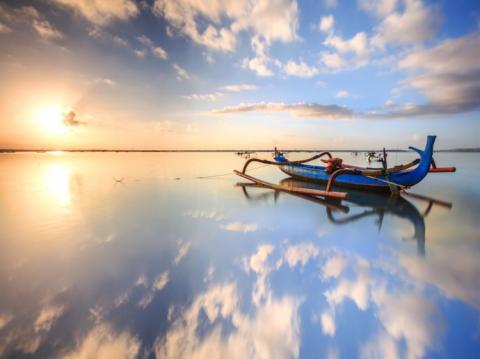 Lạc xuống thủy cung với loạt ảnh đại dương đẹp ngỡ ngàng - 2