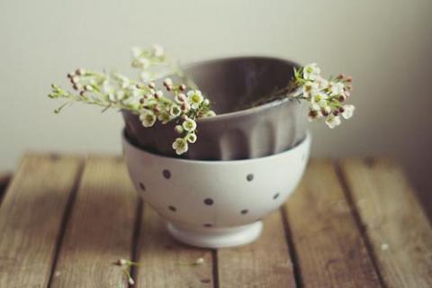 anh-tinh-vat-dep-mo-mang-nhu-tranh-ve