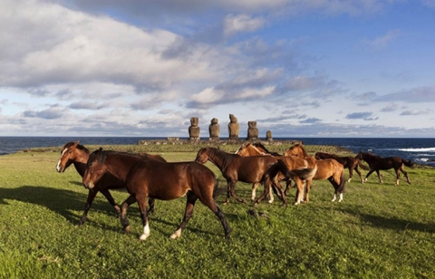 Bí ẩn ngàn năm về sự diệu kỳ của Đảo Phục Sinh Rapa Nui - 11