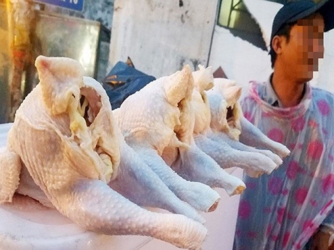 90.000 tấn thịt gà nhập về Việt Nam giá rẻ bèo 23.000 đồng/kg - Ảnh 1.