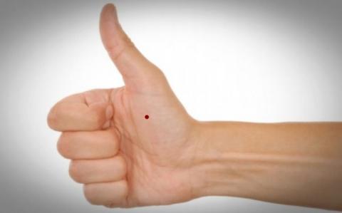 bestie-vi-tri-not-ruoi-son-3-20171028140128