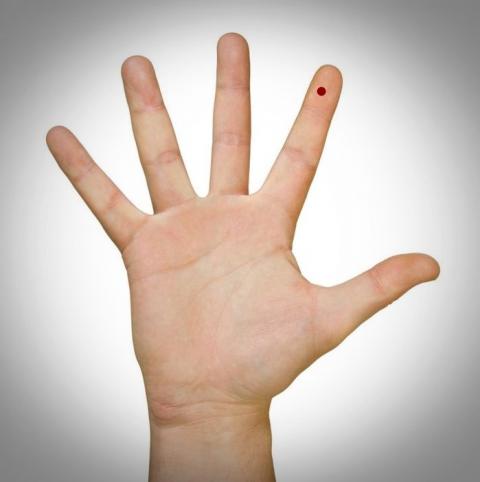 bestie-vi-tri-not-ruoi-son-4-20171028140300