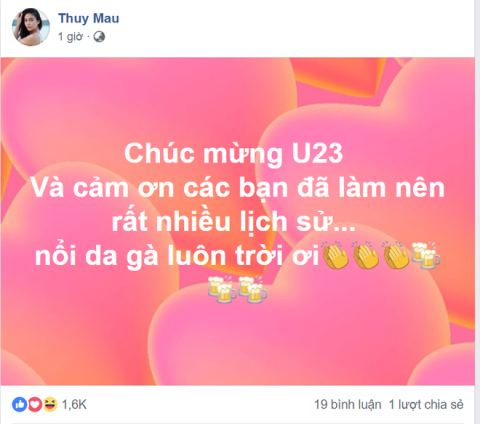 Hoài Linh, Hari Won và các sao Việt phát cuồng vì HLV Park Hang- seo - Ảnh 4.