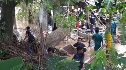 Cây ngã đè sập nhà, mẹ và con trai 3 tuổi tử vong - 1