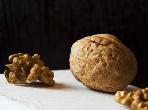 4x18_1513595727_4_min_jpg_pagespeed_ic_16_qTCBDZ2_LFUQ