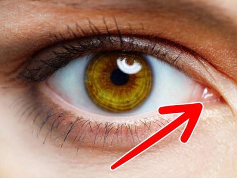 14 bộ phận trên cơ thể bạn sẽ biến mất trong tương lai - 2