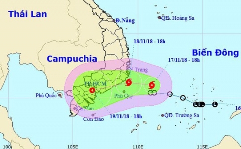 UBND TP HCM chỉ đạo khẩn ứng phó bão số 8 - Ảnh 1.
