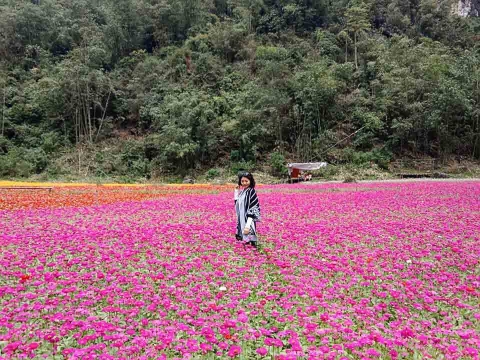 Ngỡ lạc chốn thiên đường ở thung lũng hoa đẹp ngất ngây ở Lạng Sơn - 1
