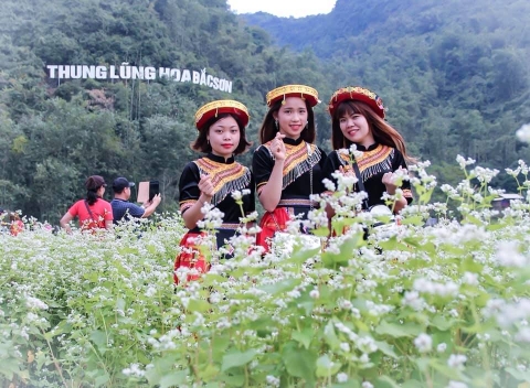 Ngỡ lạc chốn thiên đường ở thung lũng hoa đẹp ngất ngây ở Lạng Sơn - 2