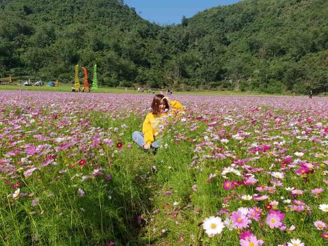Ngỡ lạc chốn thiên đường ở thung lũng hoa đẹp ngất ngây ở Lạng Sơn - 3