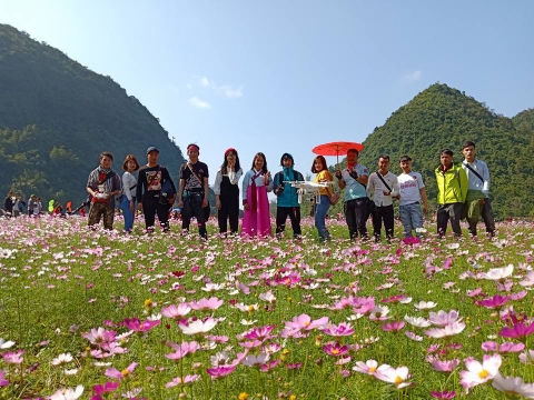 Ngỡ lạc chốn thiên đường ở thung lũng hoa đẹp ngất ngây ở Lạng Sơn - 8
