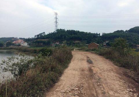 Nu tieu thuong giet ban de 'the mang' doi dien an tu hinh hinh anh 2