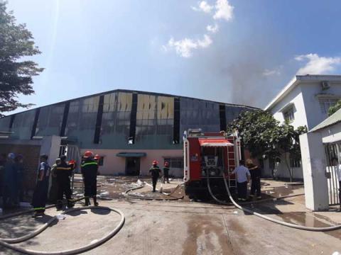 Cháy lớn tại công ty gỗ, đứng xa hơn 10km vẫn thấy khói lửa bốc cao - 2