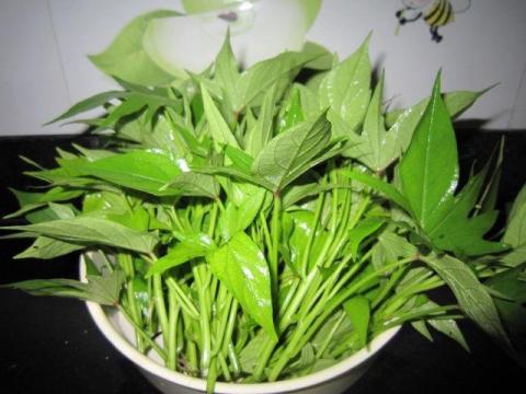 la khoai lang duoc menh danh la 