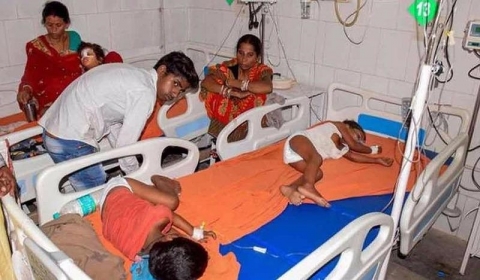 47 trẻ tử vong tại Ấn Độ do thói quen ăn quả vải rất nhiều người Việt cũng mắc phải - 1