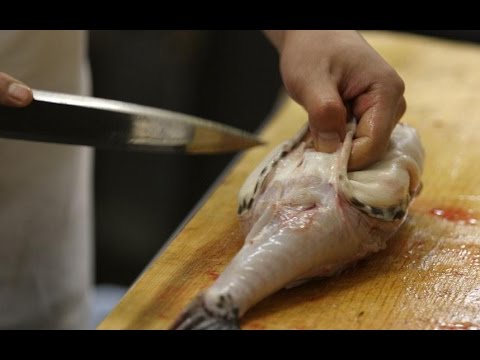 Những món hải sản có thể gây độc chết người - 2