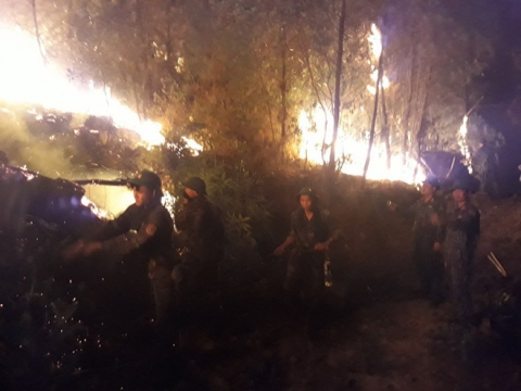Hàng nghìn người trắng đêm dập lửa, cứu rừng thông ở Nghệ An - Ảnh 1.
