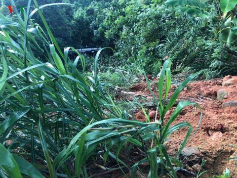 Xe khách lao xuống vực sâu 30m ở Quảng Ninh, 2 người tử vong Xe khách lao xuống vực sâu 30m ở Quảng Ninh, 2 người tử vong