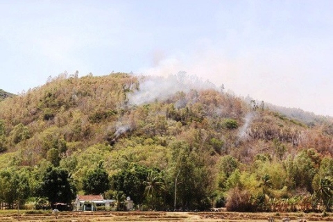 Bom, đạn nổ vang trời trong đám cháy rừng ở Bình Định - 1