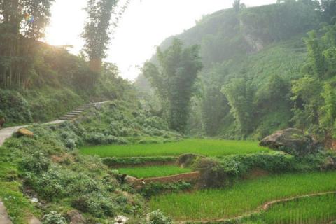 Cảm Äá»ng bức thư bá» viết cho con trai khi biết con Äáºu tá»t nghiá»p