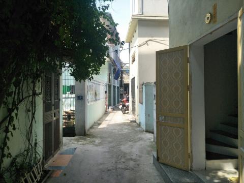 Hàng xóm kể lại giây phút kinh hoàng cụ bà bị chó dữ tấn công bê bết máu - 1