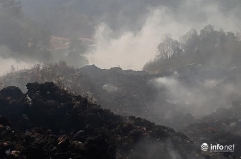 - Ảnh 1. - Ảnh 1.