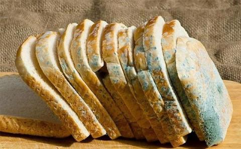 '. 5 loại thực phẩm dễ gây ung thư hàng đầu: Loại nên hạn chế ăn nhiều, loại tuyệt đối không được ăn .'