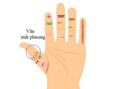 img7216637-n-20171120141051