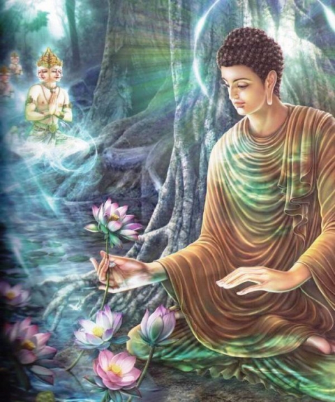 10 bài học từ những lời dạy của Đức Phật: Để không bị tổn thương hãy nhớ kỹ điều số 8 - Ảnh 1.
