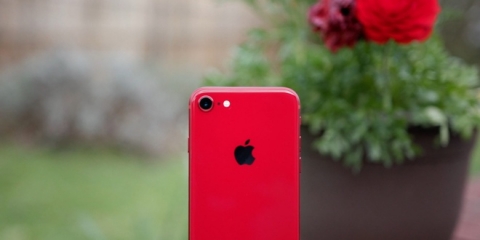 iPhone 9 se ra mat vao ngay mai? hinh anh 1 iPhone_8_Outdoors.jpg