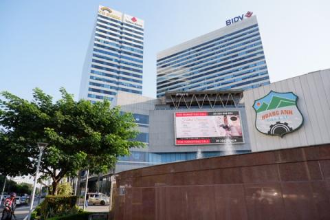 Thaco lai dam nho giao dich mua cong ty cua bau Duc hinh anh 2 0000000000000000385_15767365004541378517853_15877814477891063368362.jpg