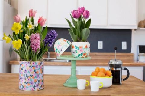 hoa-pha-vo-phong-thuy-2