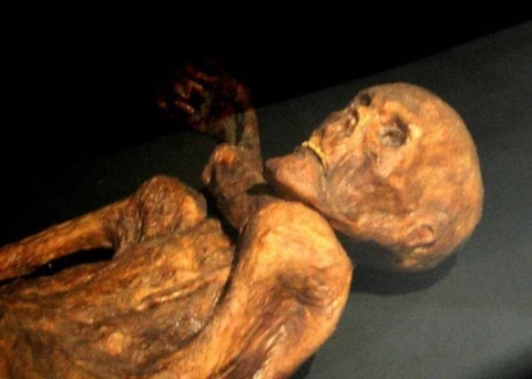 Người băng Otzi: Xác ướp lâu đời nhất của loài người từng được tìm thấy và bí ẩn lời nguyền đáng sợ đoạt mạng 7 người - 1