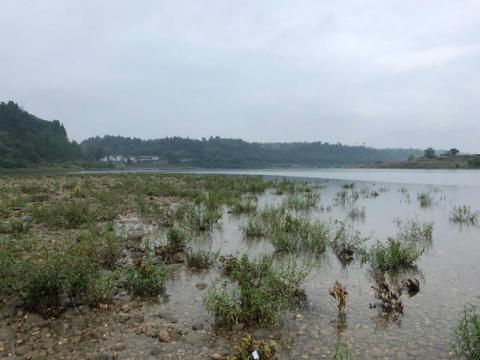 Vụ 8 học sinh chết đuối thương tâm ở Trung Quốc: Em trai ngã xuống nước, chị gái cùng 6 người bạn nhảy xuống cứu và xảy ra thảm kịch - Ảnh 2.