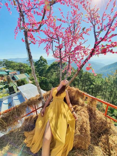Cô gái Sài Gòn khiến tất cả giật mình với bộ ảnh check-in Đà Lạt theo style 'không giống ai' - 3